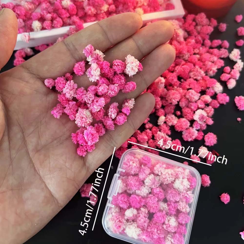 1박스 꽃 믹스 (공예용, 양초 만들기, 압화, 핑크색 - Resin Art Earrings Design 리뷰 및 가격